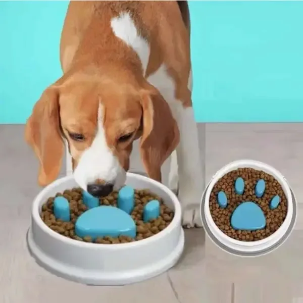 Comedero lento para perro o gato